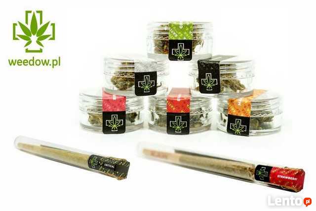Kwiaty CBD w opakowaniu 0,3g do waporyzacji