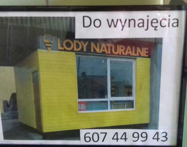 Lokal do wynajęcia