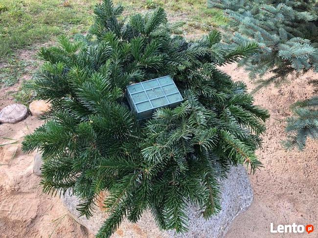 Wieńce, podkłady pogrzebowe