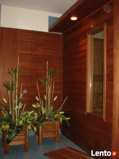 Szyba do drzwi sauny zespolona prostokątna średnia