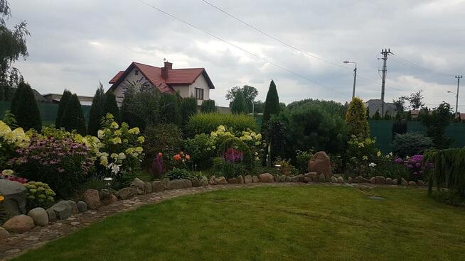 Automatyczne systemy nawadniania/ zakładanie trawników