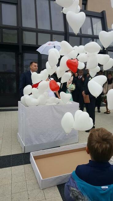 Dekoracje balonowe Rybnik