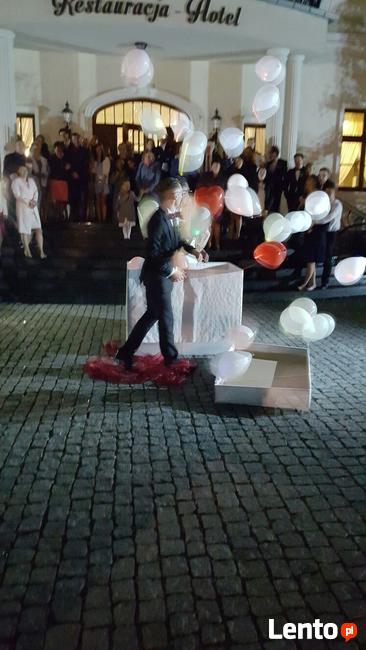 Dekoracje balonowe Rybnik