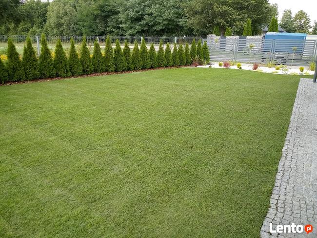 Zakładanie trawników, automatyczne nawadnianie, wertykulacja