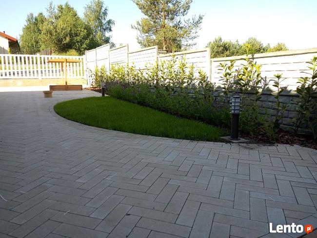 Zakładanie trawników, automatyczne nawadnianie, wertykulacja