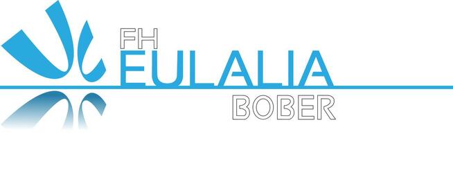 Płyn antypoślizgowy do podłóg Dolphin Brilant 1 L