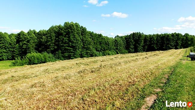 Atrakcyjna działka rolno-budowlana Leszczewek, gm. Suwałki 3
