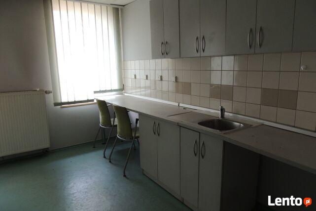 Bezpośrednio wynajmę lokal użytkowy.