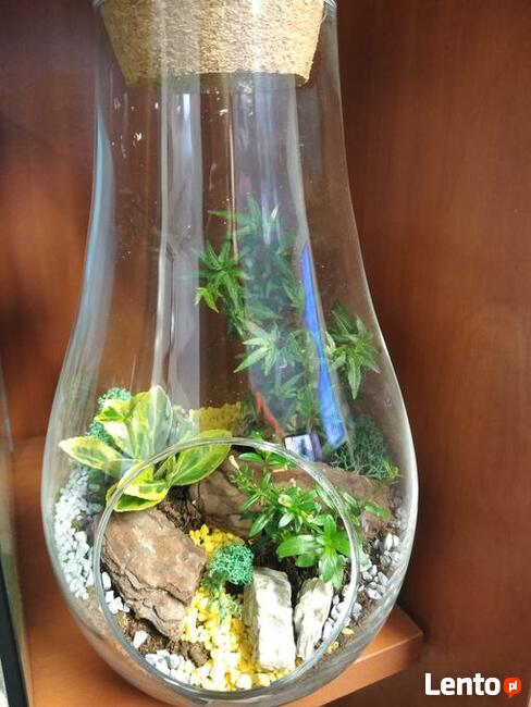 LAS W SZKLE!!! Piękny do ozdoby domu, na prezent.