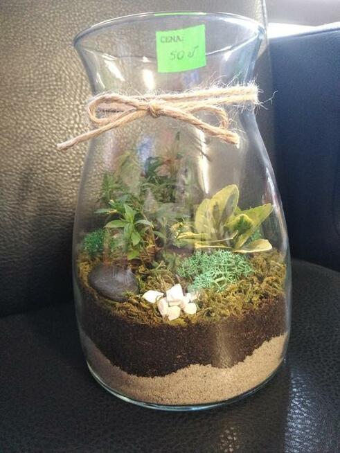 LAS W SZKLE!!! Piękny do ozdoby domu, na prezent.