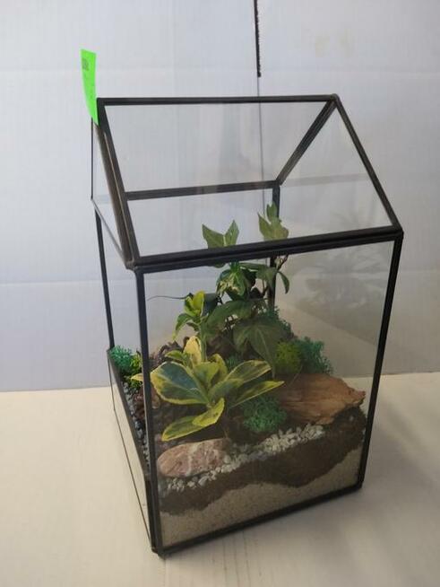 LAS W SZKLE!!! Piękny do ozdoby domu, na prezent.