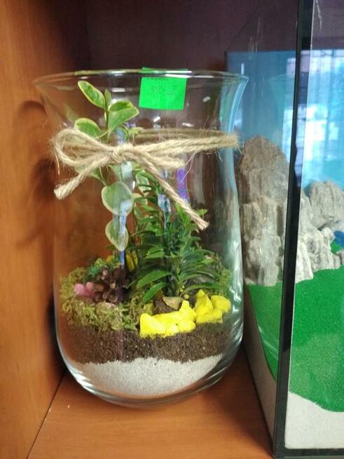 LAS W SZKLE!!! Piękny do ozdoby domu, na prezent.