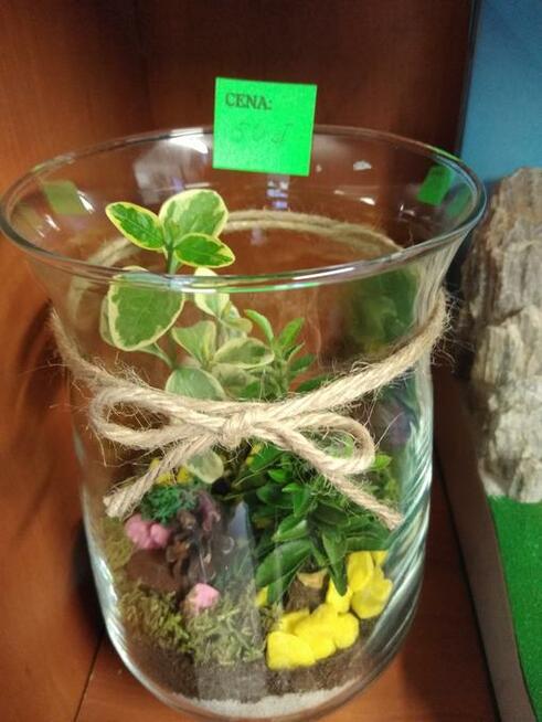 LAS W SZKLE!!! Piękny do ozdoby domu, na prezent.