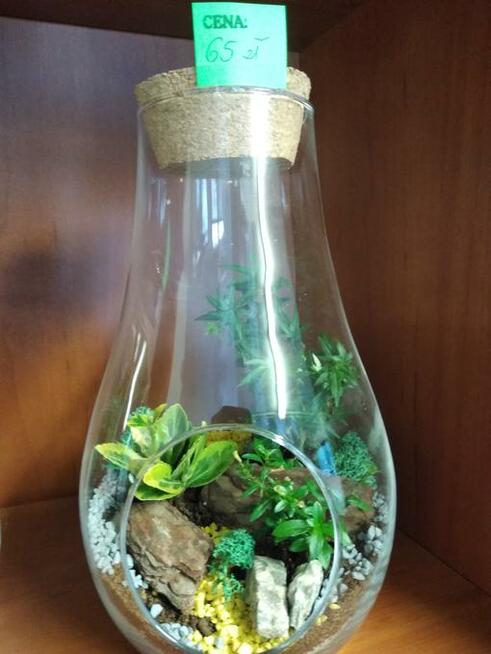 LAS W SZKLE!!! Piękny do ozdoby domu, na prezent.