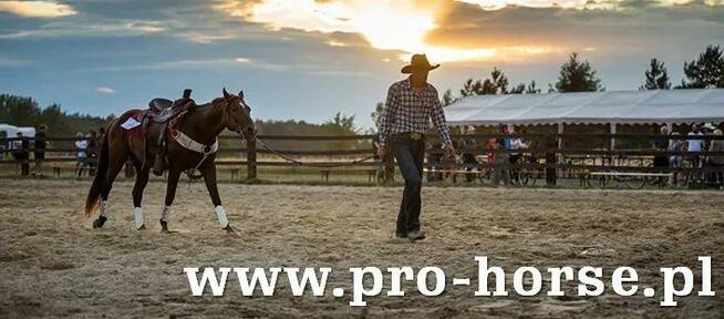 Sklep Jeździecki PRO HORSE Zapraszamy!