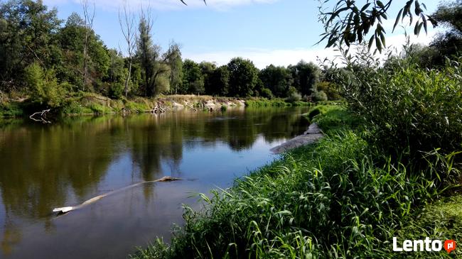 Spływy kajakowe Bugiem - Wypożyczalnia kajaków we Włodawie