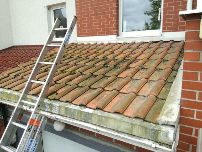 Usługi Ogrodnicze Mycie elewacji i malowanie.Mycie kostki