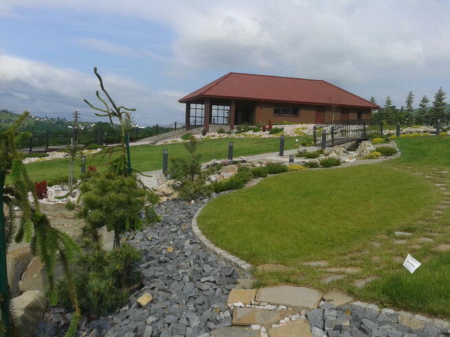 Usługi Ogrodnicze Mycie elewacji i malowanie.Mycie kostki