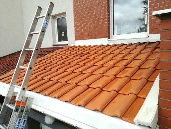 Usługi Ogrodnicze Mycie elewacji i malowanie.Mycie kostki