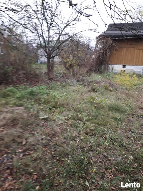 Przyjme deski, kantówki DARMO