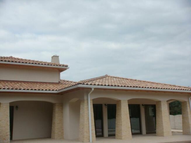 Kamień dekoracyjny ozdobny elewacyjny płytki łupek jaskółka