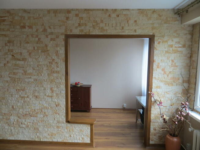 Kamień dekoracyjny ozdobny elewacyjny płytki łupek jaskółka