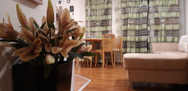 Mieszkanie PARTER - 2 pokoje - Taras 40 m2