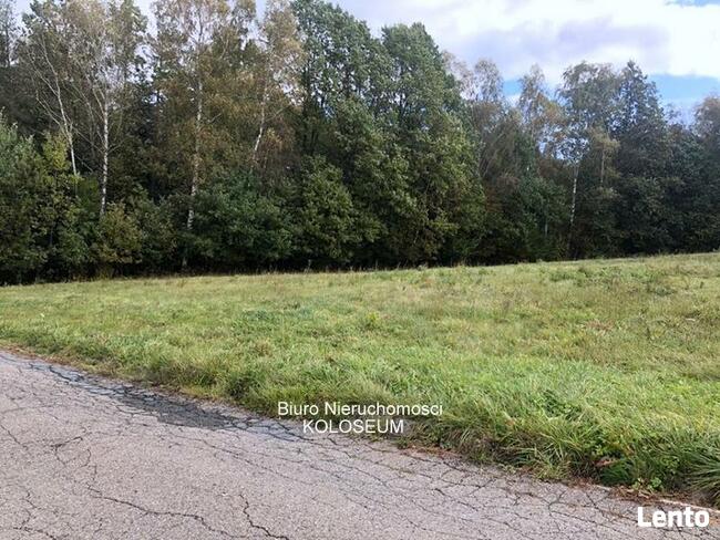 Działka budowlana Nowy Sącz