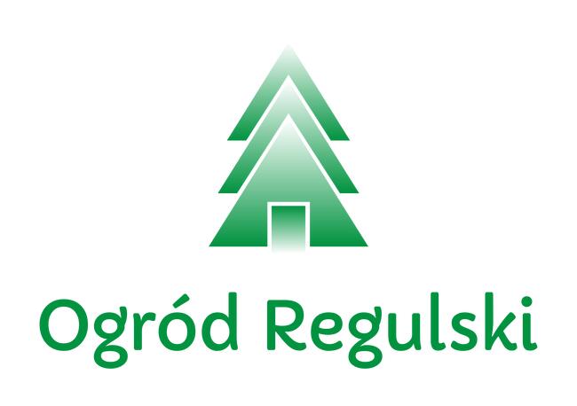 Cis pośredni Hicksii Taxus x media Hicksii