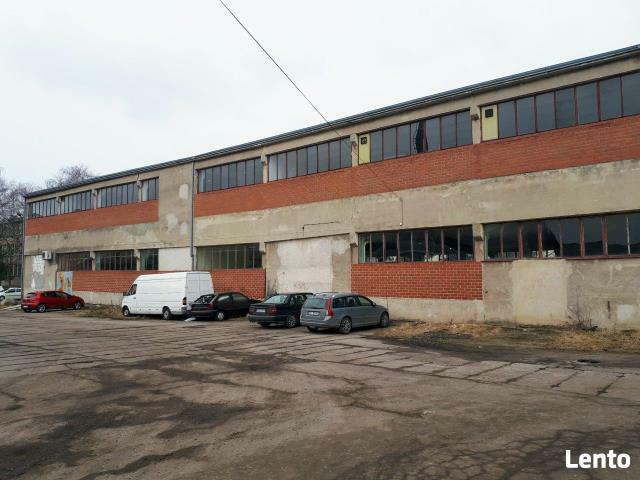 Lokal użytkowy Kołobrzeg