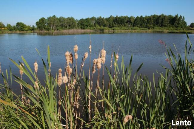 Działka rekreacyjna Jarogniew gm. Gościno