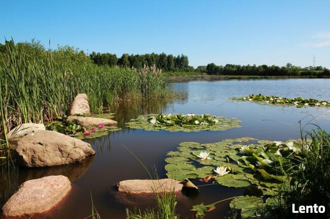 Działka rekreacyjna Jarogniew gm. Gościno