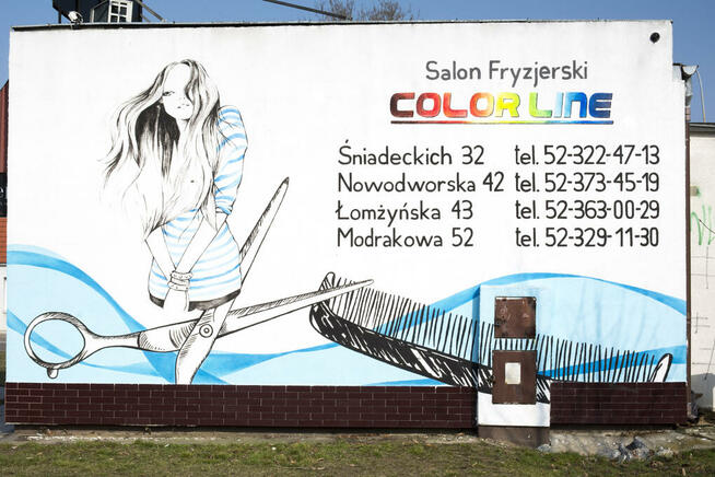 Murale, artystyczne malowanie ścian, ozdoby na ścianę