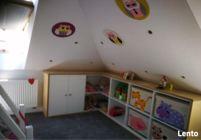 Zwalczanie kuny Wdmuchiwanie celulozy. Naprawa po kunach