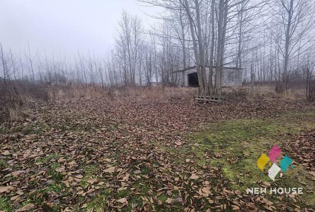 Potryty blisko jeziora Blanki, 300m rzeka Symsarna