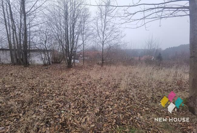 Potryty blisko jeziora Blanki, 300m rzeka Symsarna