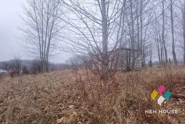 Potryty blisko jeziora Blanki, 300m rzeka Symsarna