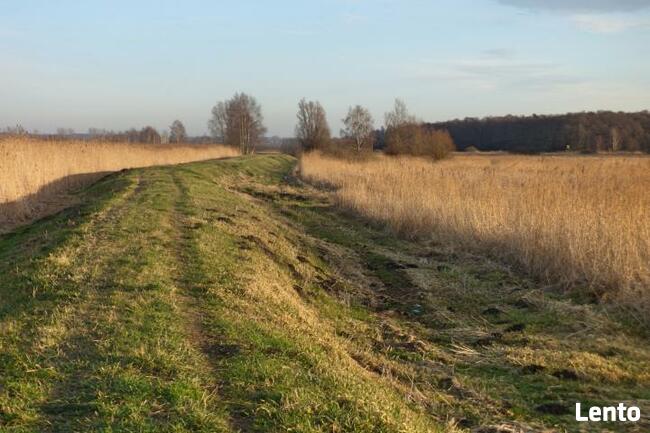 Działka rolna Koszalin