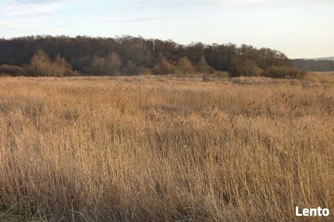 Działka rolna Koszalin