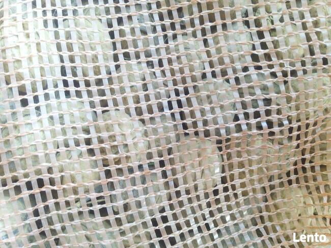 Orzech Włoski Obniżka