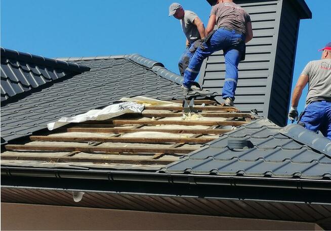 Badanie kamerą termowizja Wdmuchiwanie celulozy kuny klatki