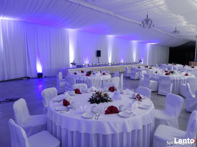 Namiot weselny, wesele w plenerze, wesele w namiocie