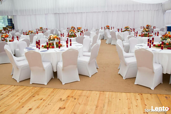 Namiot weselny, wesele w plenerze, wesele w namiocie