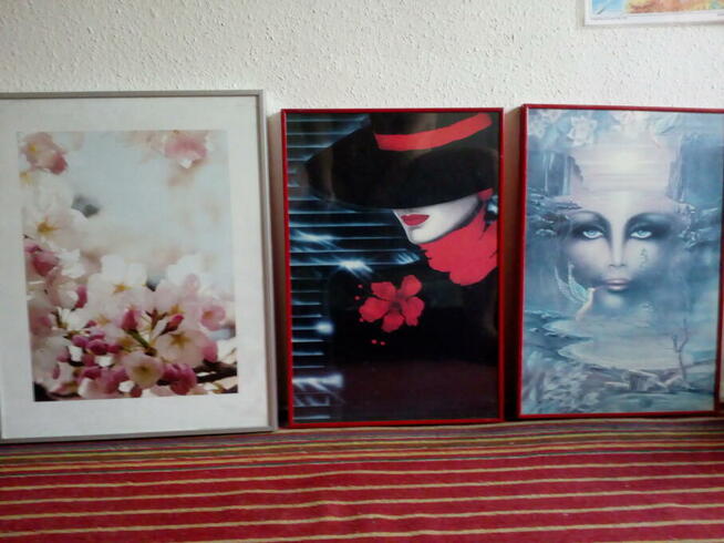 Nowoczesne obrazy zdjęcia grafika, 3 szt, po 20 zł/szt.