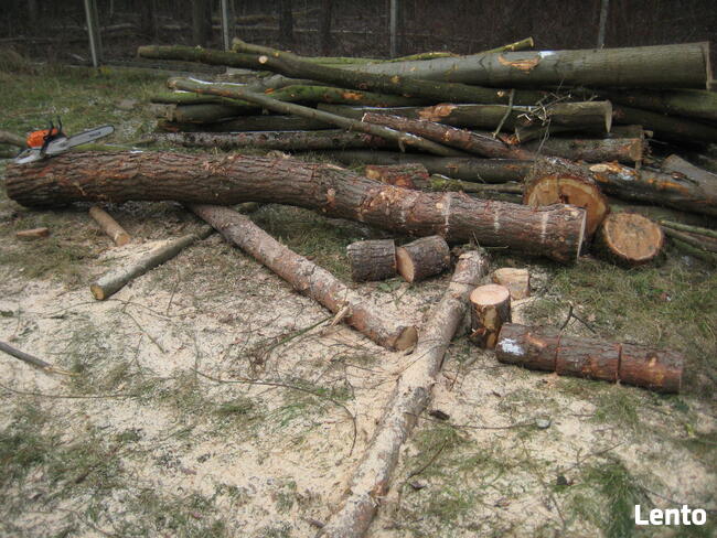 Drewno opałowe: sosna, świerk, lipa, wierzba - klocki 30 cm.