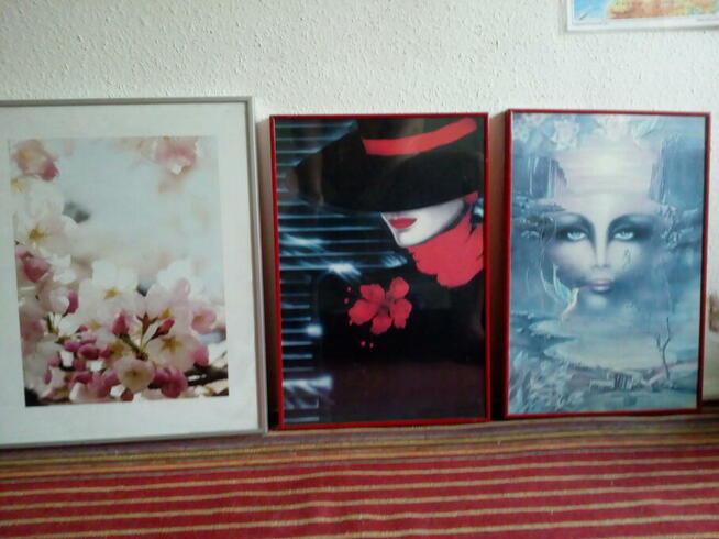 Nowoczesne obrazy zdjęcia grafika, 3 szt, po 20 zł/szt.