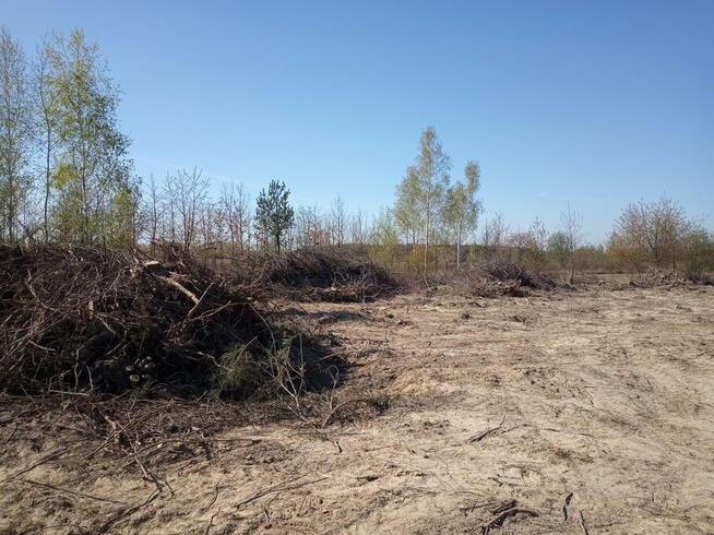 Kupię pole w Chorzelowie , Ławnicy , Trześni