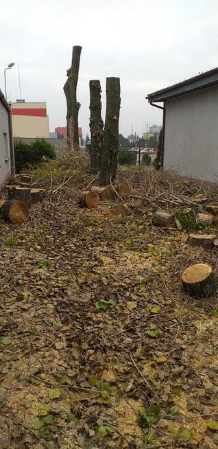 przygotowanie terenu pod budowę , wycinanie drzew