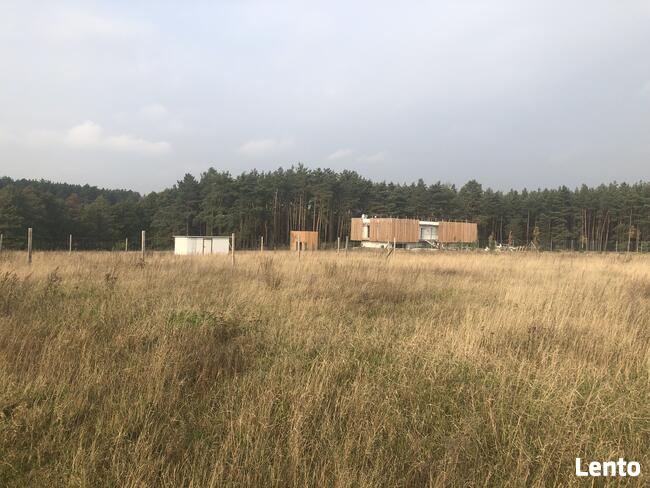 Bory Tucholskie z dostępem do jeziora! Stary Sumin Cekcyn