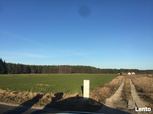 Bory Tucholskie z dostępem do jeziora! Stary Sumin Cekcyn